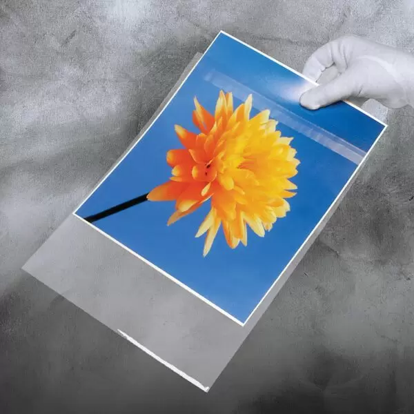 Clear art top bags