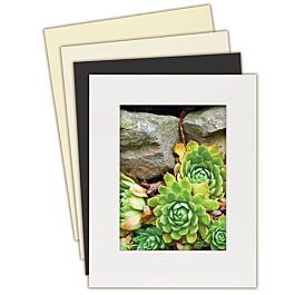 HEALLILY 30pcs Picture Frame Lined with jam Frame Border precut mat Board  Picture Frame Backing Board Photo Backing Board Photo Frame mat 10 x 10