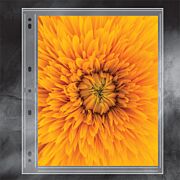 Polypropylene Photo Album Pages- 8 x 10 in.