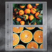 Polypropylene Photo Album Pages- 5 x 7 in.